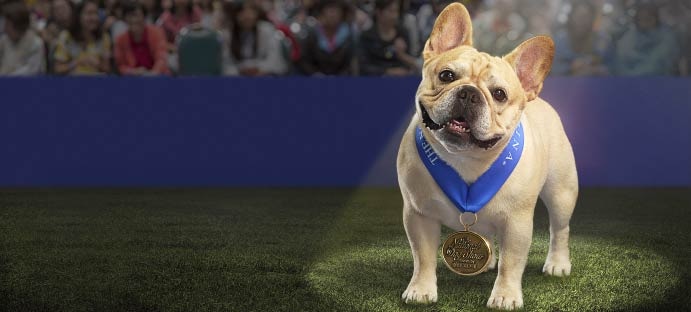 2017 national dog clearance show