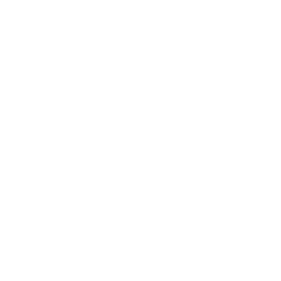 Bravo logo Logo