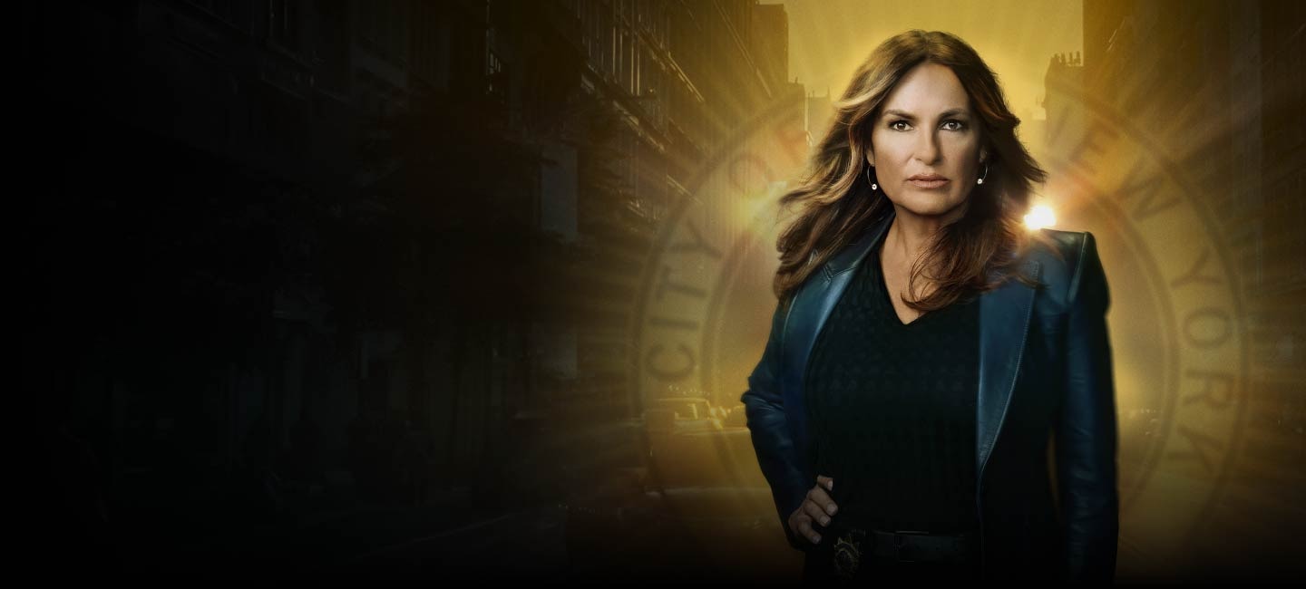 Law and order season 13 watch online free hot sale