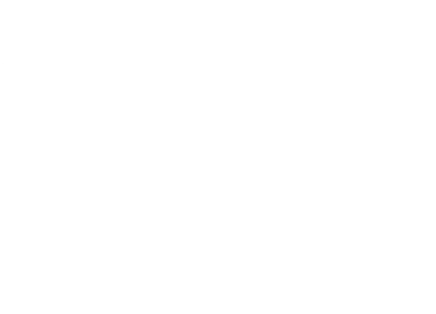 British Knights Logo 