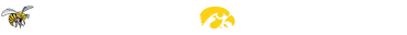 Iowa vs Northwestern Logo 