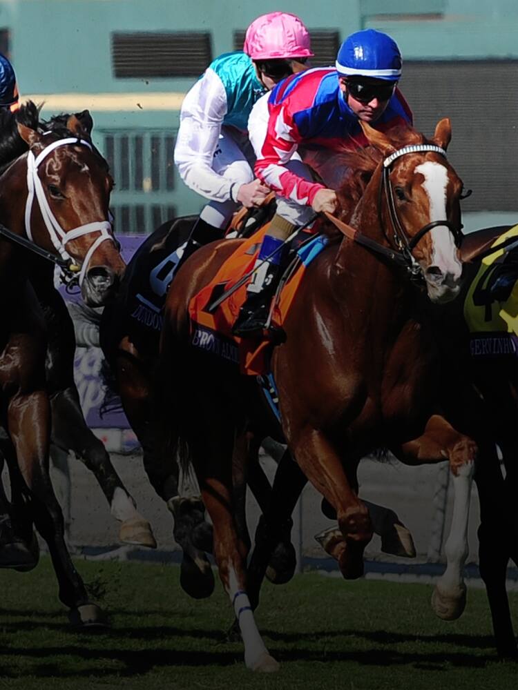 Belmont