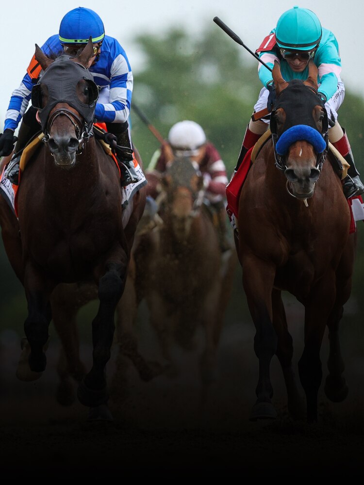 Stream LIVE Horse Racing