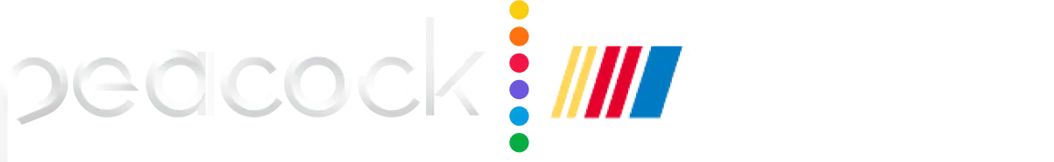 NASCAR Logo 