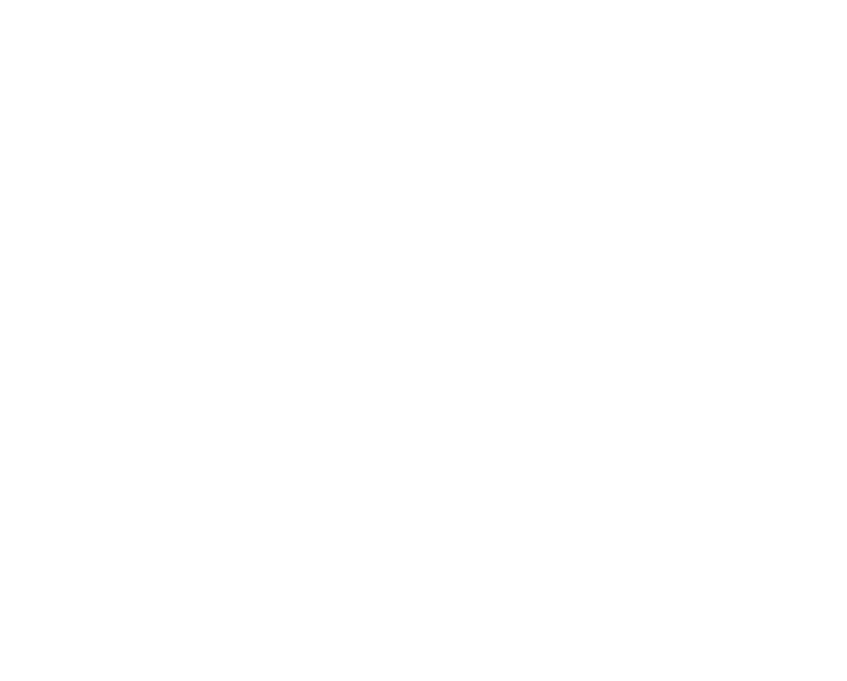 Steve Austin The Broken Skull Sessions
