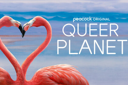 Queer Planet