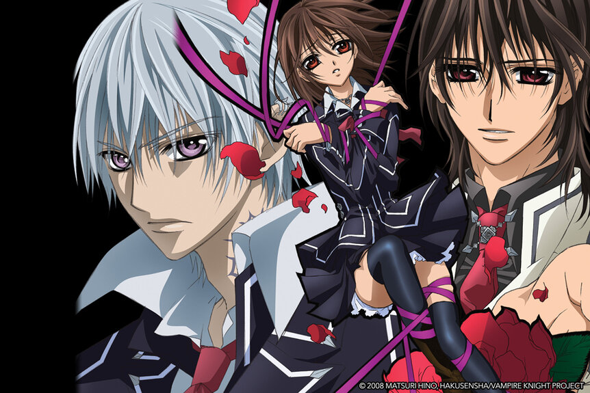 Animation of gray and brown haired characters in anime, Vampire Knight.